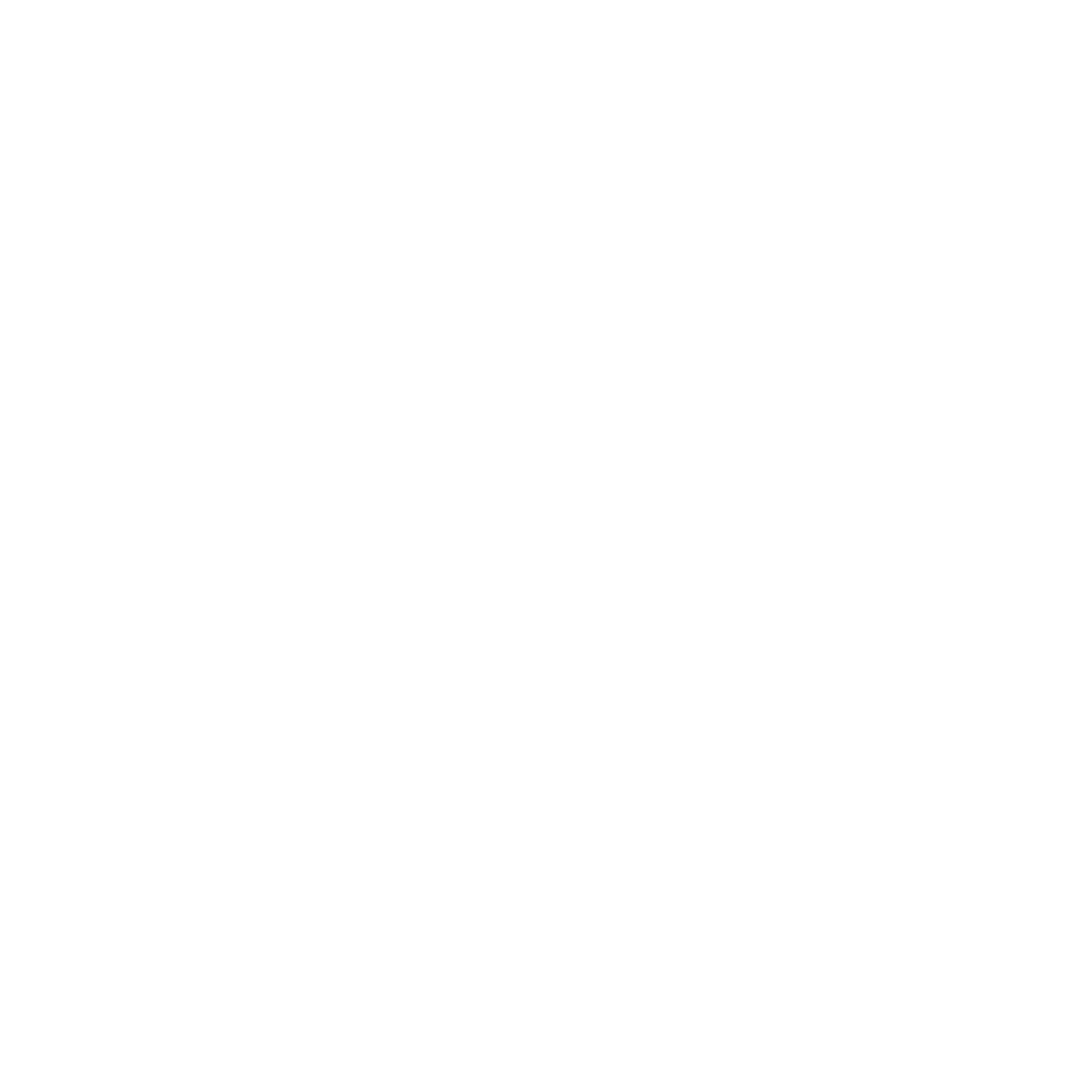 Github icon